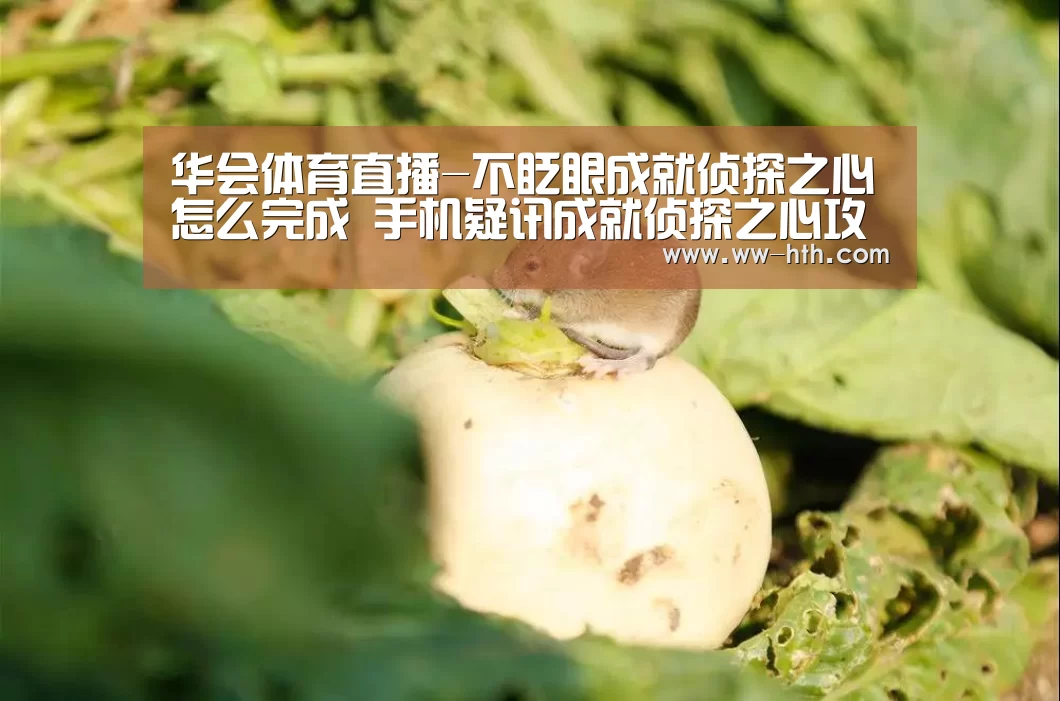 华会体育直播-不眨眼成就侦探之心怎么完成 手机疑讯成就侦探之心攻略(图3) 华会直播官网
