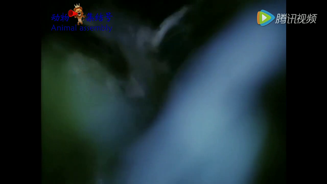 【华体会直播】
94分钟读秒绝杀!中甲升班马豪取4连胜 2-1领跑积分榜第一